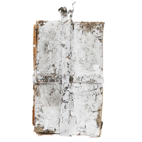 Floristik24 Plátky kůry 20cm x 12cm bílé, umyté 8 ks