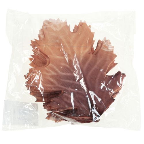 Floristik24 Červený dub list podzimní listí deko listy deco 13×19cm 12ks