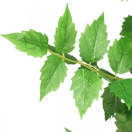 Floristik24 Deco Branch Umělé listy Větev Zelená březová větev 90cm