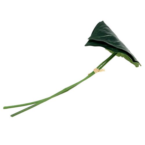 Floristik24 Caladium list 32cm 2ks