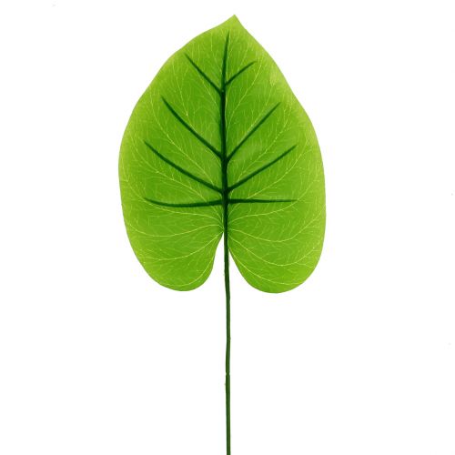 Floristik24 Dekorační list Funkie, Hosta 40cm 5ks