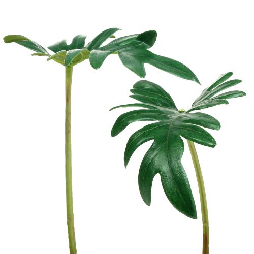 položky List filodendron 31cm zelený 12 ks