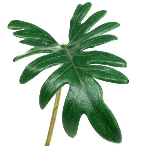 List filodendron 31cm zelený 12 ks