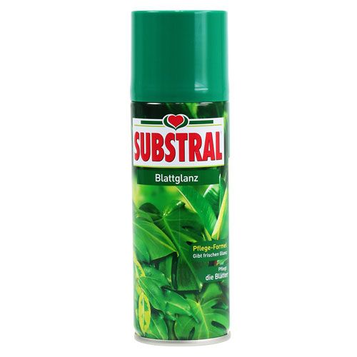 Floristik24 Lesk listů 200ml