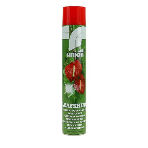 Floristik24 Lesk na listy sprej 400ml