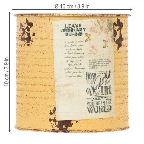 položky Dekorativní plechovka z plechovky Meruňkový kovový květináč Ø11cm V10,5cm