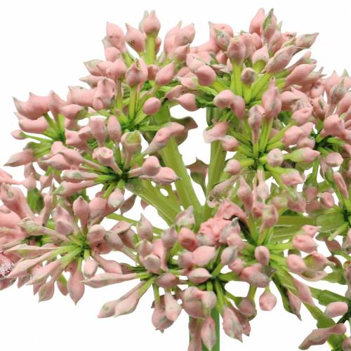 položky Allium umělá růžová 55cm