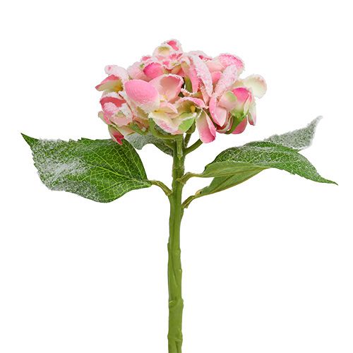 položky Hortenzie růžová se sněhem 33cm 4 ks