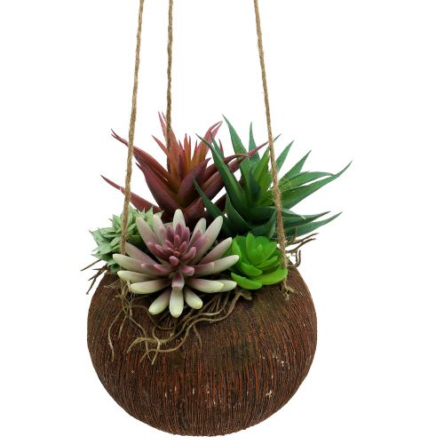 Závěsný koš s umělými sukulenty L65cm Ø16cm