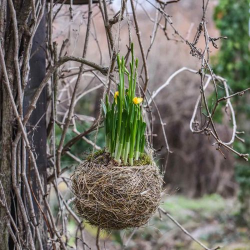 Floristik24 Blumenampel Heu Natur Košík na rostliny k zavěšení Závěsný květináč Ø20cm