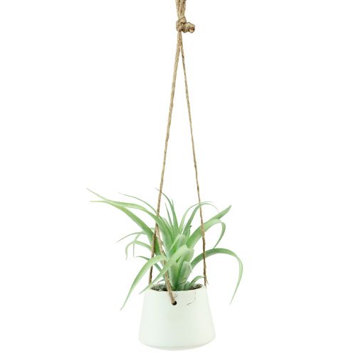 položky Závěsné košíky na sukulenty umělá zelená assort 18cm 3ks