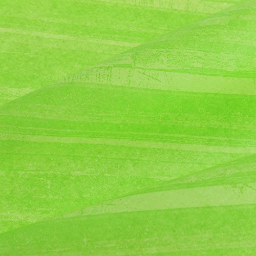 Floristik24 Květina Silk Trendline Green 50cm 6kg