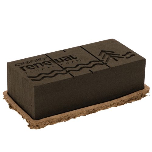 Květinová pěna 1/1 kostka OASIS® Renewal® Květinová pěna Biolit® 24 cm 2 ks