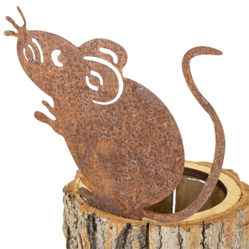 položky Dřevěný květináč s motivem kůry a myší rzi, výška 24 cm
