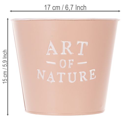 položky Zinkový květináč Art of Nature, starožitná růže, Ø17,5 cm V15 cm