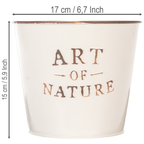 Zinkový květináč Art of Nature krémový Ø17,5 cm V15 cm | Floristik24.cz