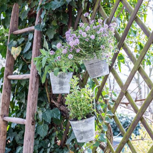 Floristik24 Květináč na zavěšení kovový antik krémový Ø13cm V11,5cm