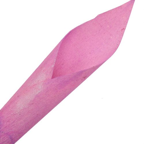 položky Květinový trychtýř doutník kala růžový 18cm - 19cm 12ks