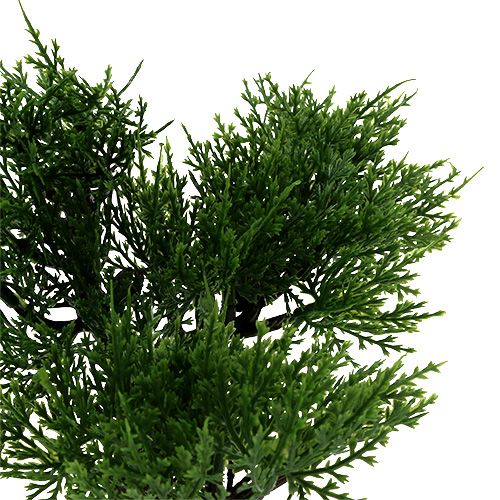 Floristik24 Bonsai strom v květináči V20cm