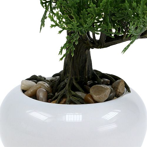 Floristik24 Bonsai strom v květináči V20cm