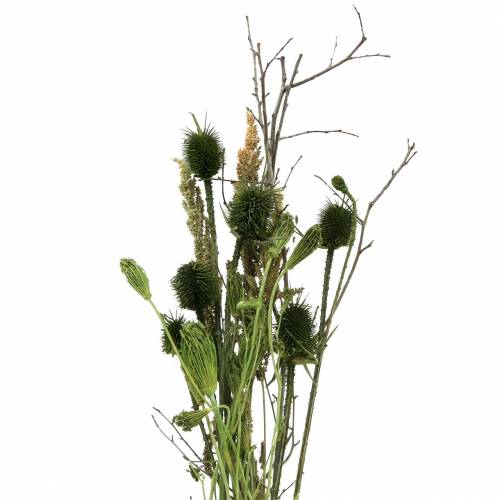 Floristik24 Kytice divokých květin přírodní, zelená 25–60cm 70g
