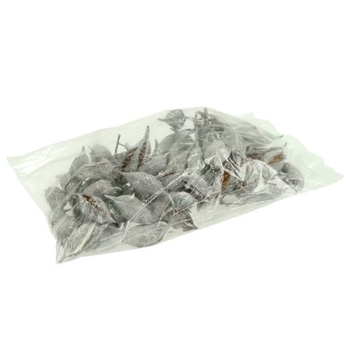 položky Brachyciton praný bílý 500g