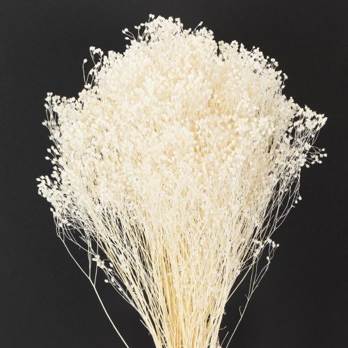 položky Broom Bloom Bleached Sušené květiny bílé s dlouhou trvanlivostí 100g