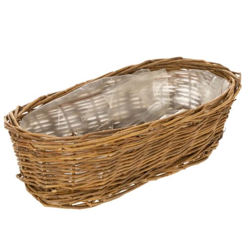 Chlébník cca 30 cm oválný, neloupaný nakoupit | Floristik24.cz
