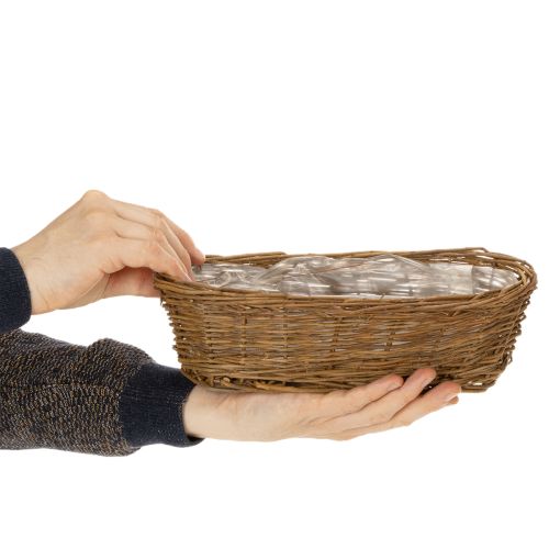 Chlébník cca 30 cm oválný, neloupaný | Floristik24.cz