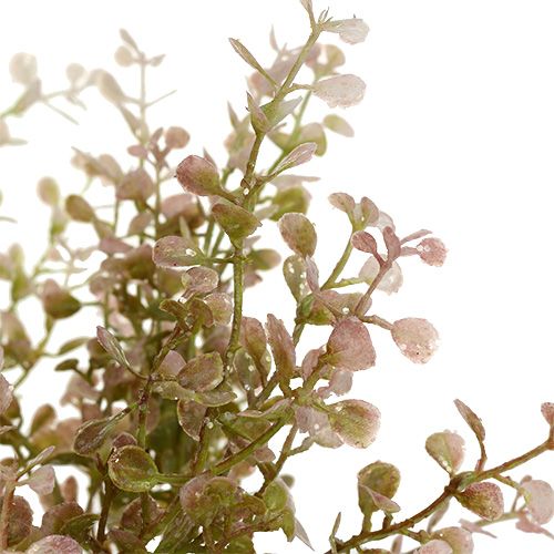 Floristik24 Zimostrázová větev růžová, růžová se slídou 32cm