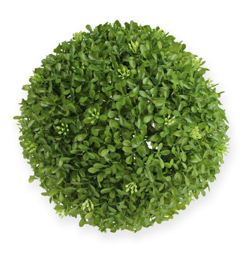 Floristik24 Box koule Ø25cm