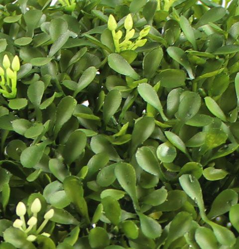 Floristik24 Box koule Ø25cm