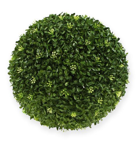 Floristik24 Box koule Ø 30 cm