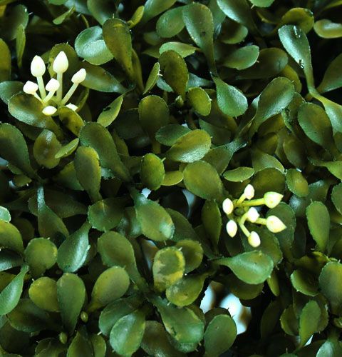 Floristik24 Box koule Ø 30 cm