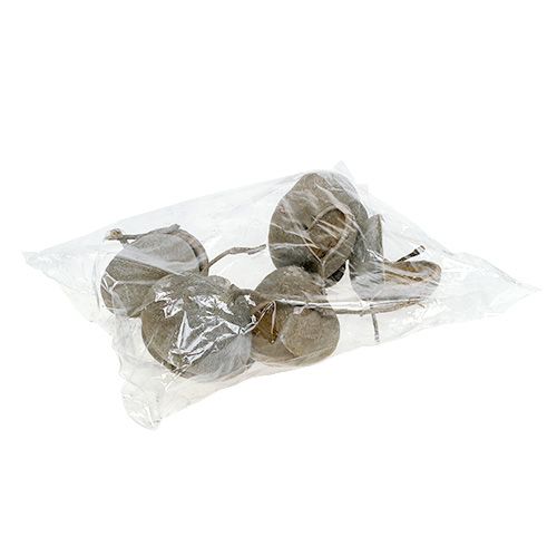 položky Buddha Nuts 8-10cm bílé vyprané 10 ks