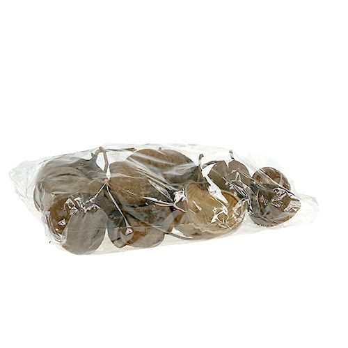Floristik24 Buddha Nut Natural 15 ks