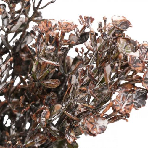 položky Umělé rostliny hnědá podzimní dekorace zimní dekorace Drylook 38cm 3ks