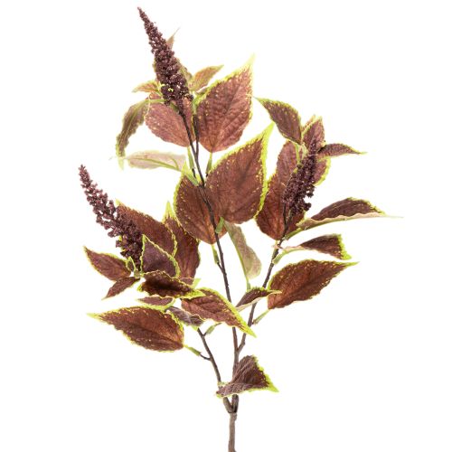 Umělý Coleus s červenými listy, umělá rostlina, 20 cm nakoupit | Floristik24.cz