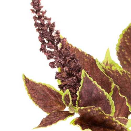 Umělý Coleus s červenými listy, umělá rostlina, 20 cm | Floristik24.cz