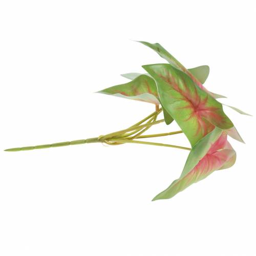 položky Umělá caladium šestilistá zeleno/růžová umělá rostlina jako skutečná!