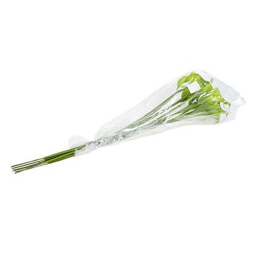 Floristik24 Calla umělá zelená 8cm L57cm 12ks