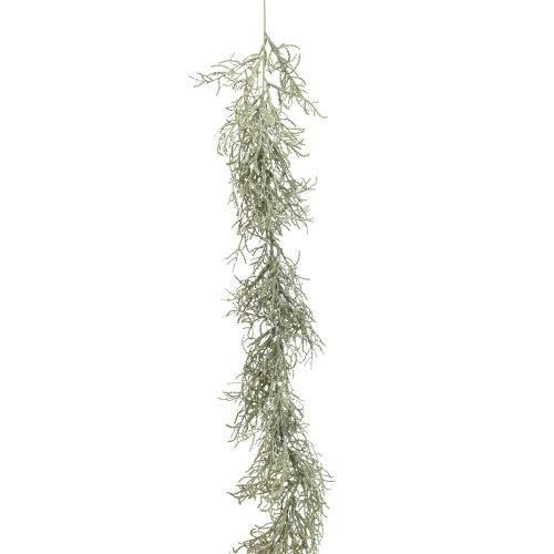 položky Calocephalus Garland Umělé rostliny Stříbrně šedá 122cm