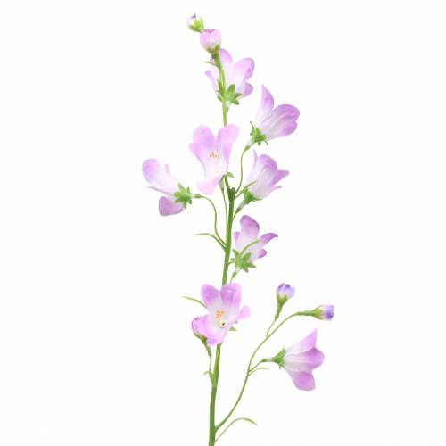 Floristik24 Umělý zvonek Campanula Violet White 66cm