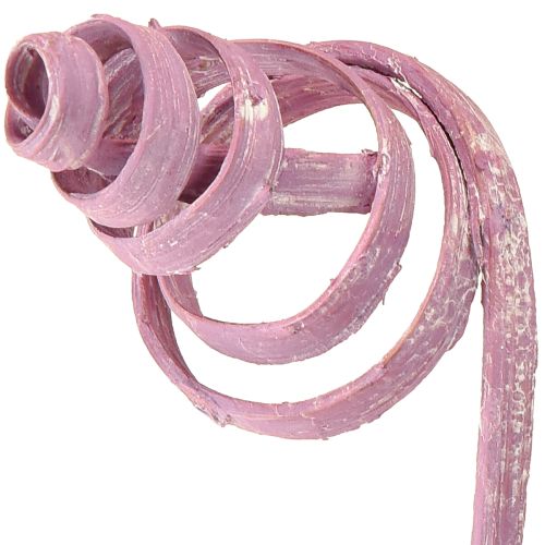 položky Třtinová spirála, třtinový kužel, sortiment třtinových tyčinek, bobule 30 cm 75 ks