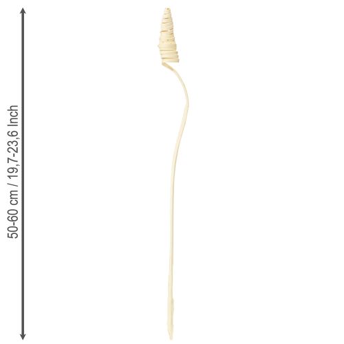 položky Třtinový kužel bělený 25 ks