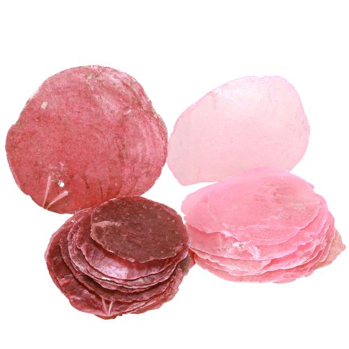 položky Dekorace skořápky Capiz v růžové bobule 5cm–8cm mix 60 kusů