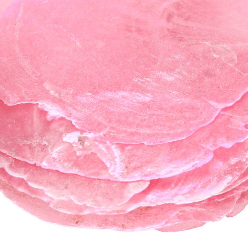 položky Dekorace skořápky Capiz v růžové bobule 5cm–8cm mix 60 kusů