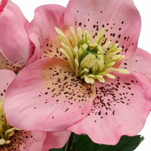Floristik24 Vánoční růže, postní růže, čemeřice, umělé rostliny růžová L34cm 4ks