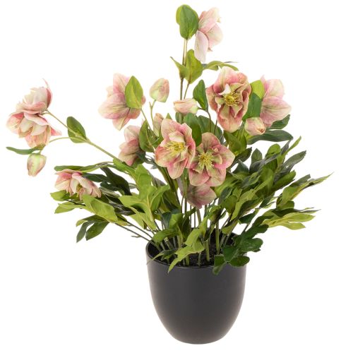 Umělá rostlina Helleborus v květináči, vánoční růže, pro domácí dekoraci, 50 cm