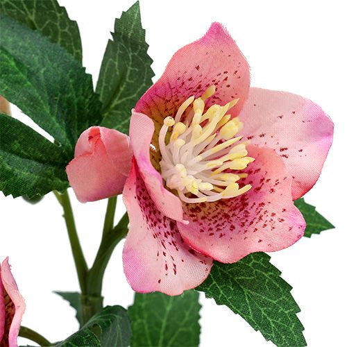 Floristik24 Vánoční růže růžová L22cm 1p